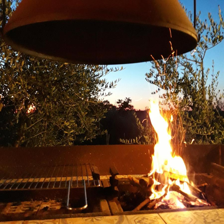 La Vigna Countrybnb Montottone Exterior foto